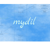 mydil - Бизнес-модель торговой площадки товаров ручной ...